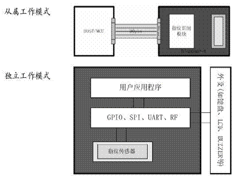 单芯片指纹锁原理及设计方案,第5张 单芯片指纹锁原理及设计方案,第5张