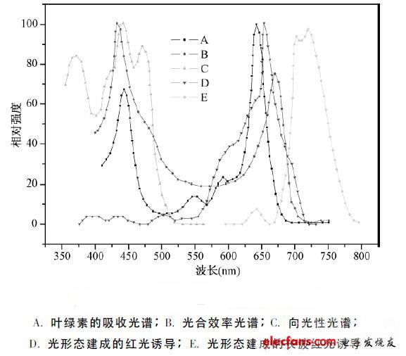 基于单片机控制的LED水族照明装置设计,第2张