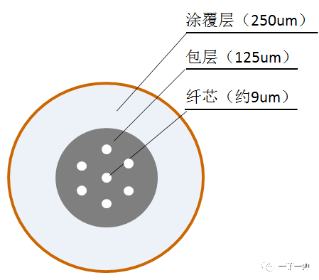多芯光纤与紧套光纤是什么？,多芯光纤与紧套光纤是什么？,第3张