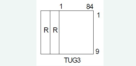 sdh复用的工作原理,sdh复用的工作原理,第11张